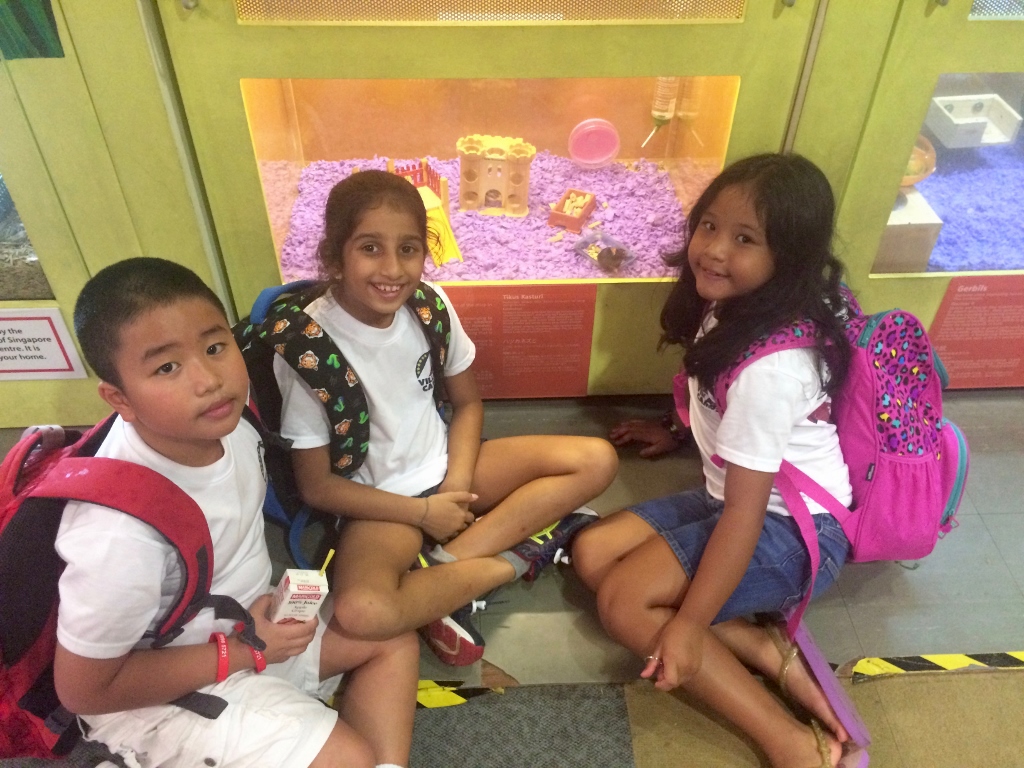 Village Camps International Summer Camp VDC Singapore 2017-07-28 https://www.villagecamps.com/journals_admin/images/1686-7614-IMG_9369 (1024x768).jpg